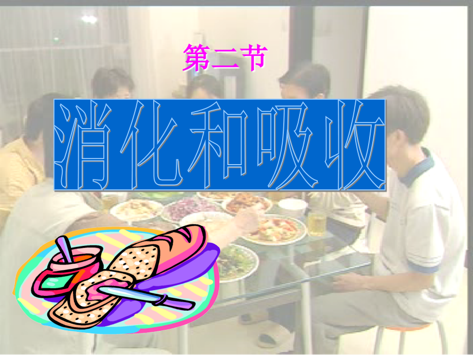 七年级生物消化与吸收.ppt_第1页