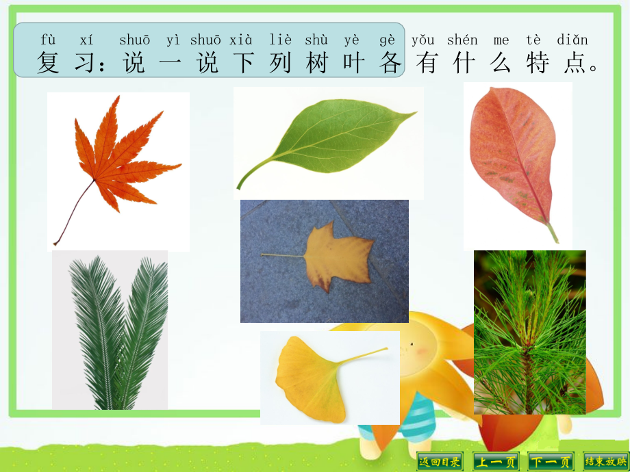 一下科学课件—4.给物体分类.ppt_第2页