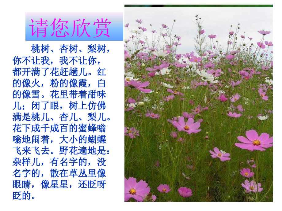 中考作文景物描写1.ppt_第2页