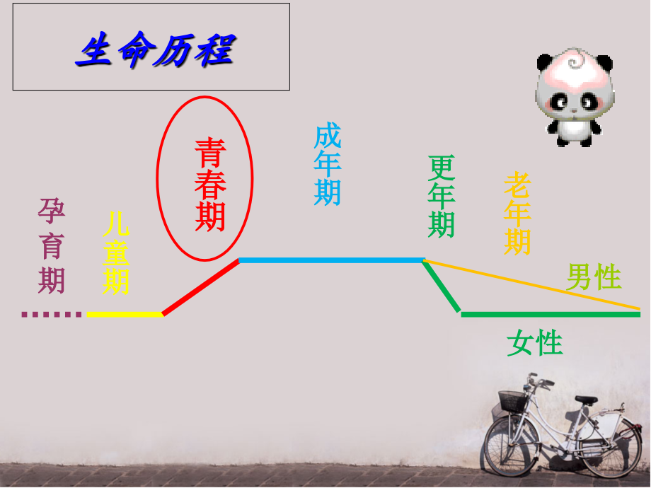 医学青春期生理卫生保健专题.ppt_第2页