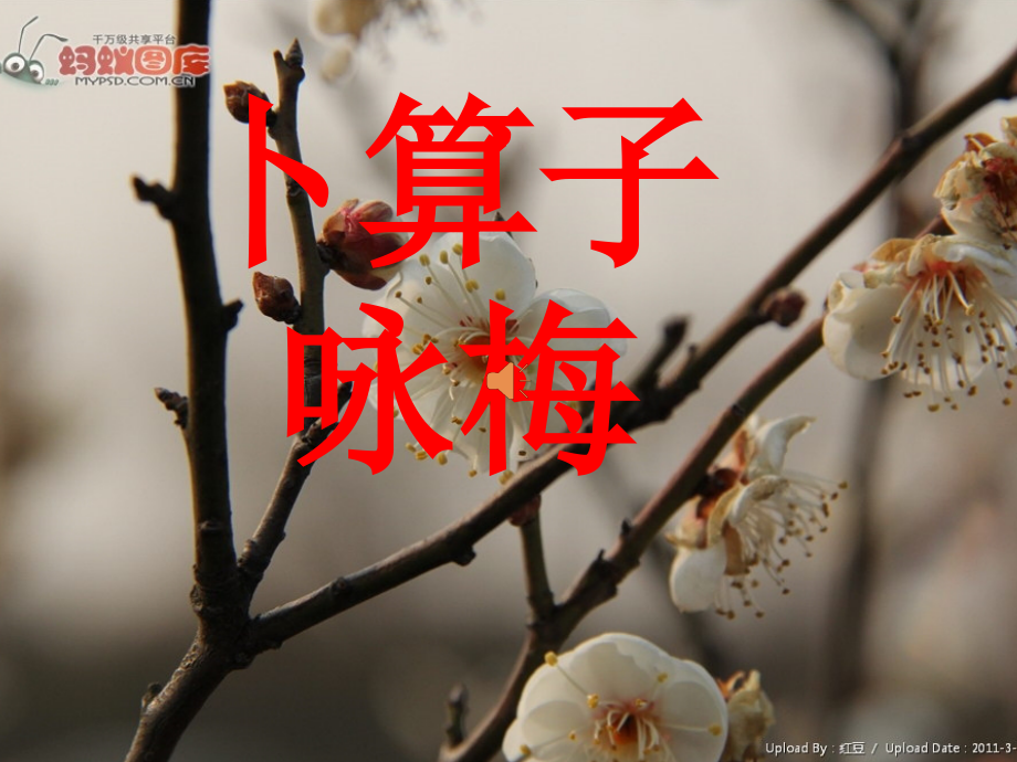《卜算子咏梅》毛泽东PPT.ppt_第1页