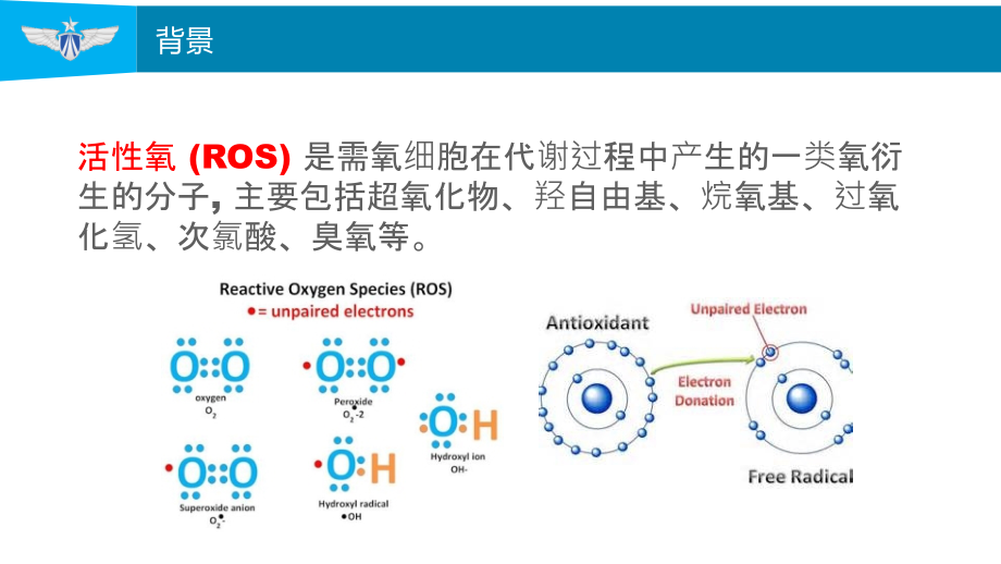 ROS和纤维化疾病课件.ppt_第2页