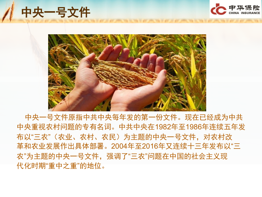 中央一号文件相关知识汇总.ppt_第2页