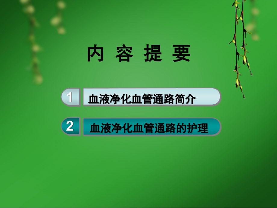 医学血液透析血管通路与护理.ppt_第2页
