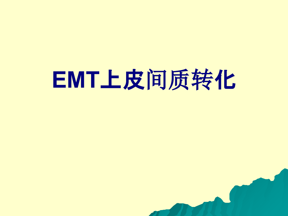 EMT上皮间质转化课件.ppt_第1页