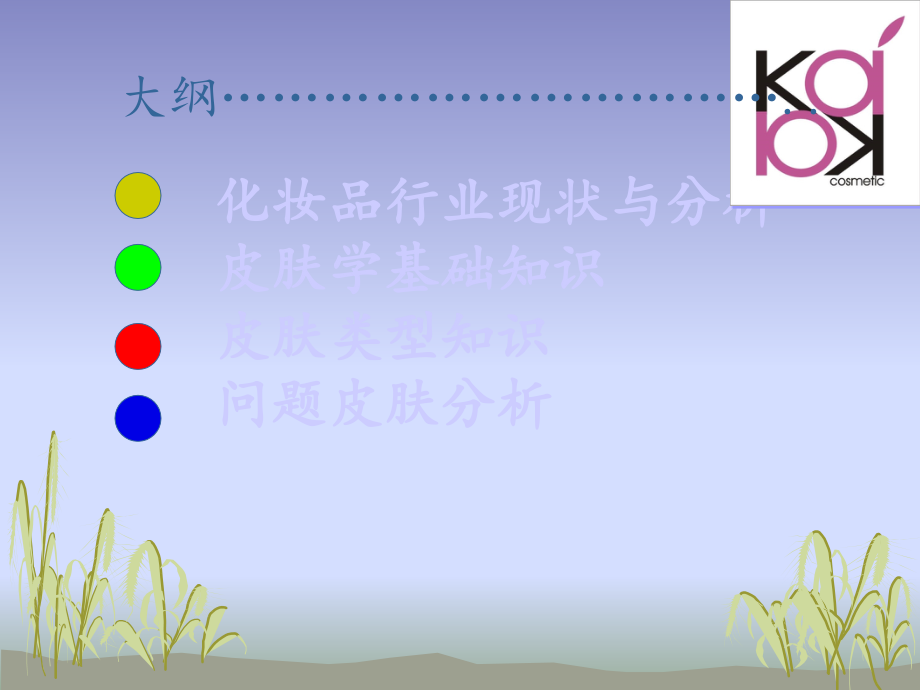 医学课件皮肤专业知识大全.ppt_第1页