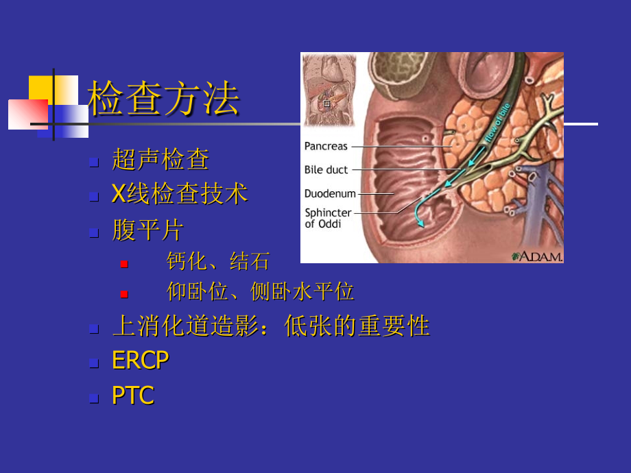 医学胰腺.ppt_第2页