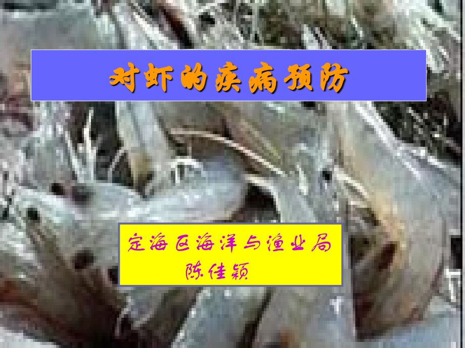 对虾疾病的预防和治疗.ppt_第1页