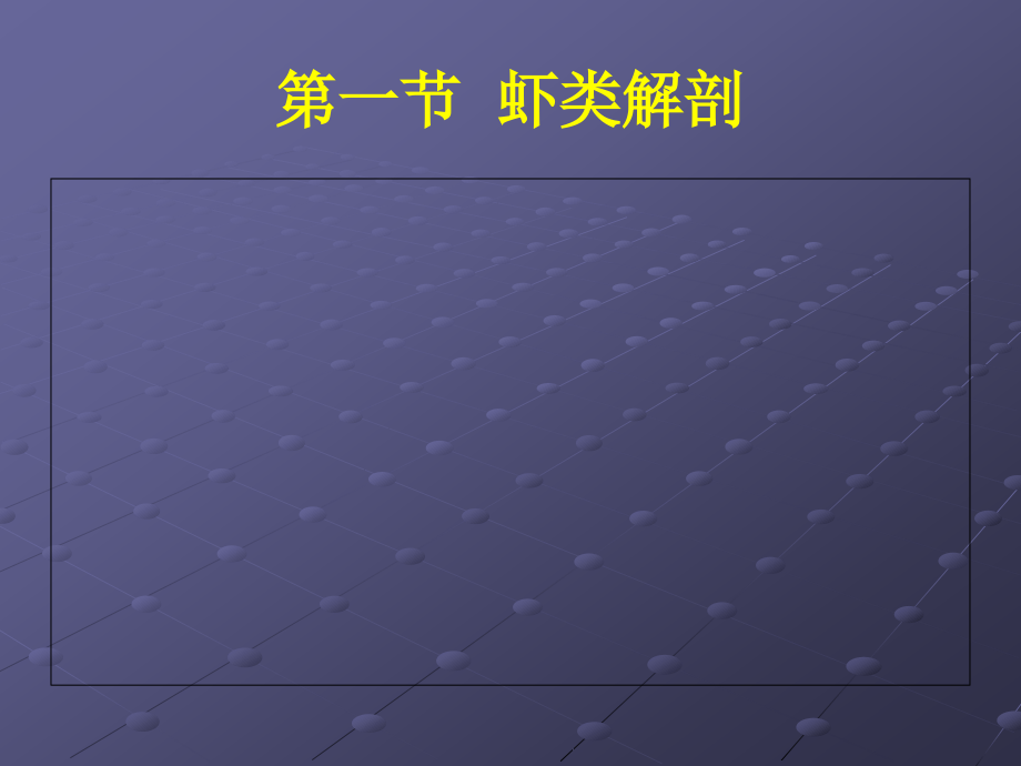 对虾疾病的预防和治疗.ppt_第2页