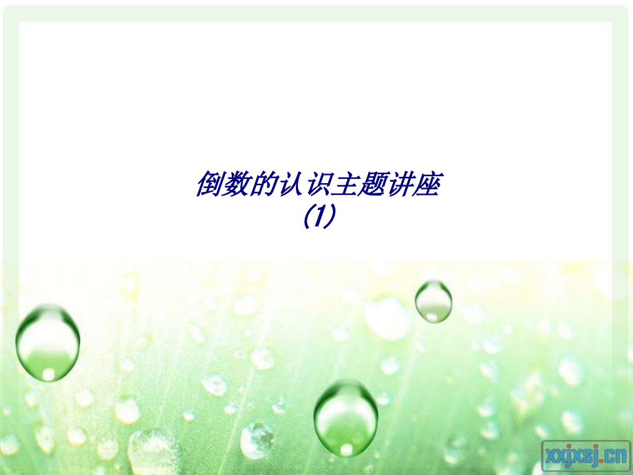 倒数的认识主题讲座.ppt_第1页