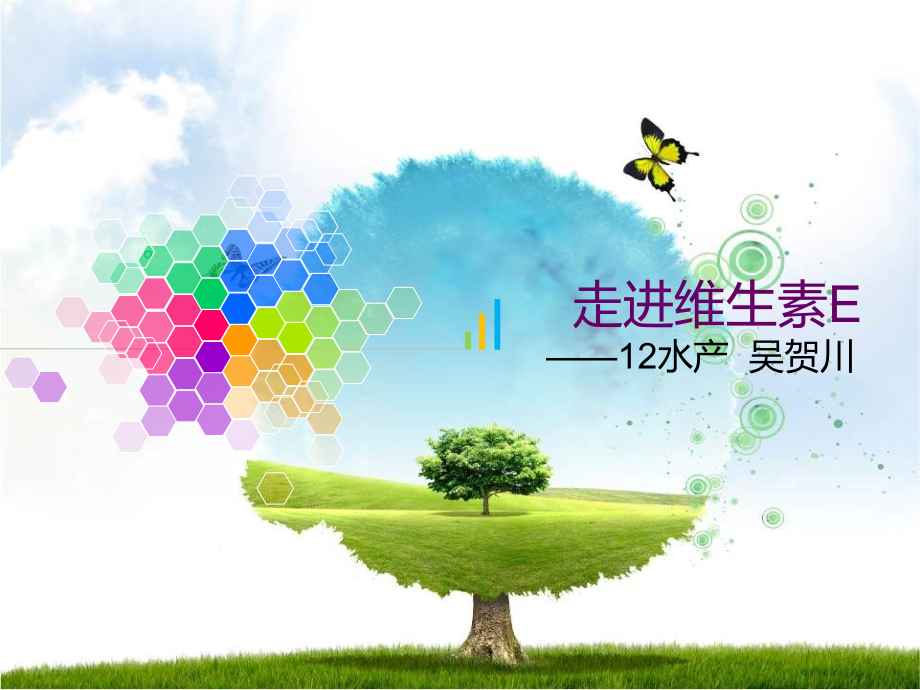 医学维生素E.ppt_第2页