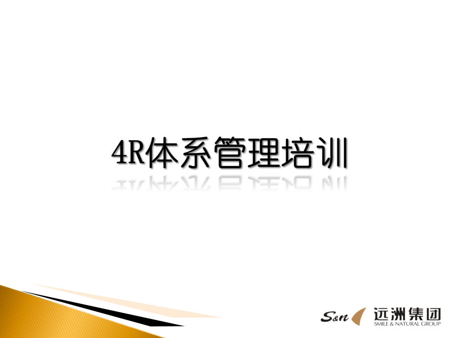 R管理体系.ppt_第2页