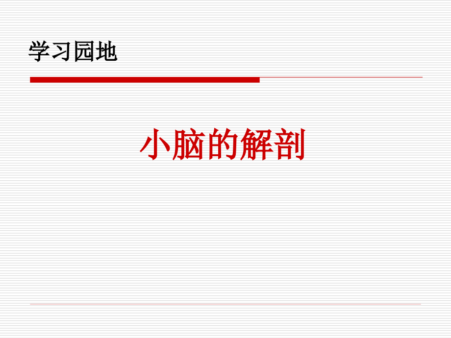 小脑的解剖(医学PPT课件).ppt_第1页