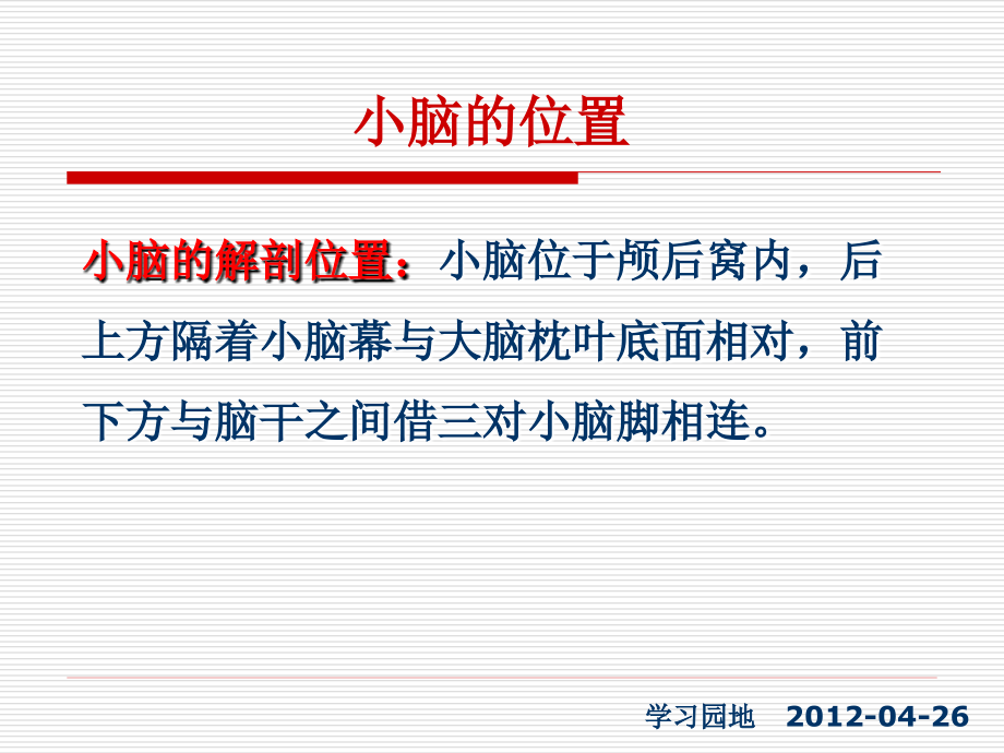 小脑的解剖(医学PPT课件).ppt_第2页