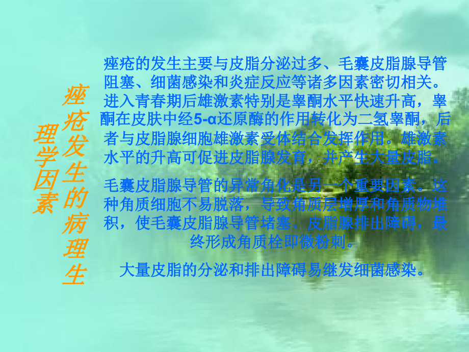 医学课件痤疮医疗专业知识.ppt_第2页