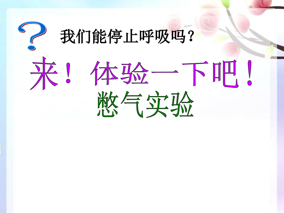 第一节-呼吸道对空气的处理(用).ppt_第2页