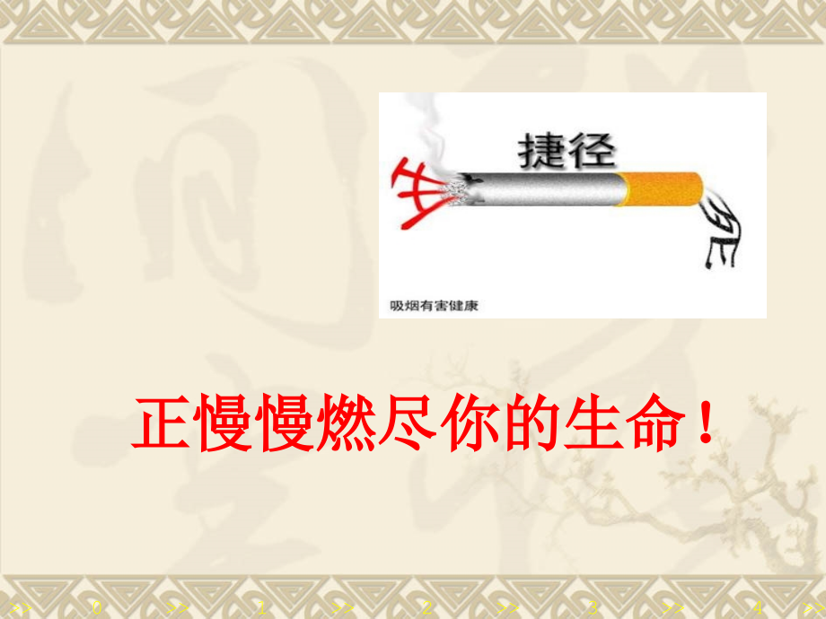 控烟知识讲座专题.ppt_第2页