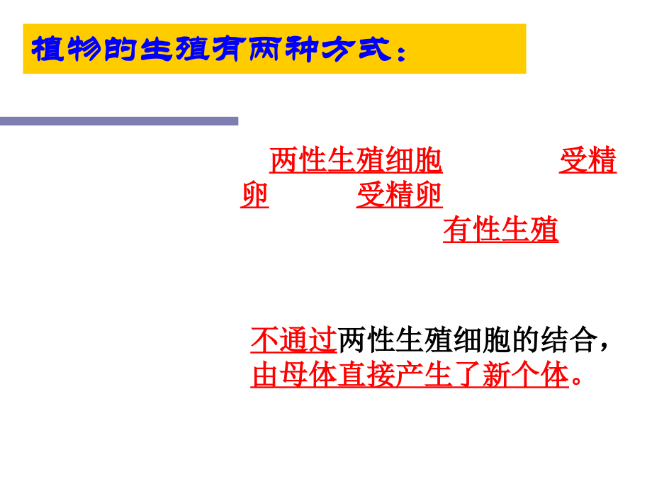 2018冀教版生物八年级下册6.1.1《被子植物的生殖》ppt课件1.ppt_第2页