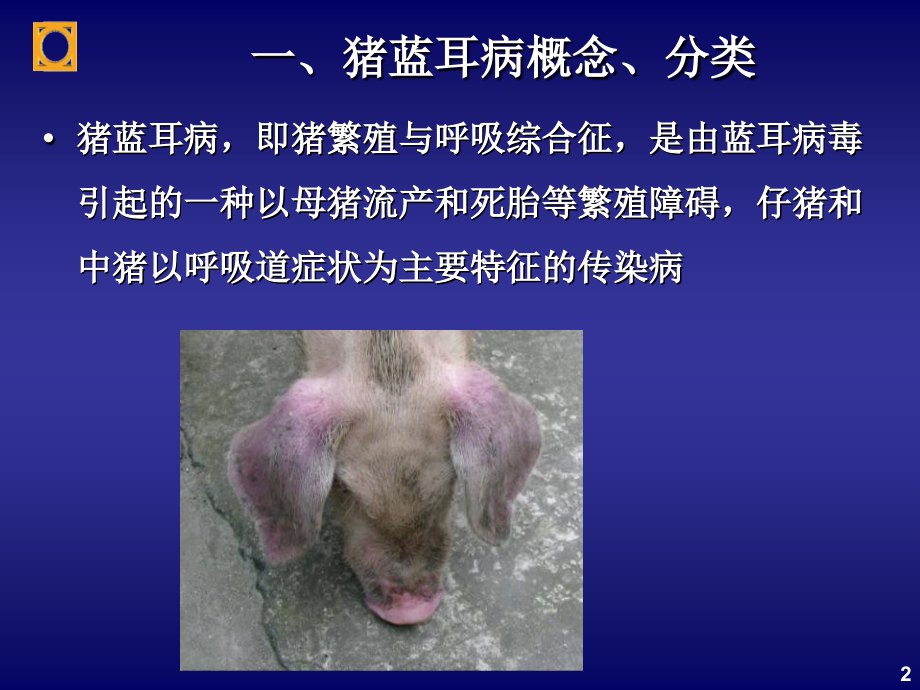猪高致病性蓝耳病防治.ppt_第2页