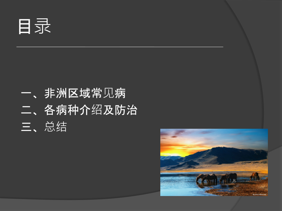 医学非洲地区常见病防治专题.ppt_第2页