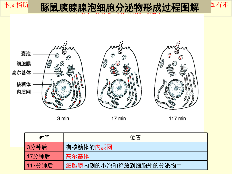 分泌蛋白的合成和运输过程专业知识讲座.ppt_第2页