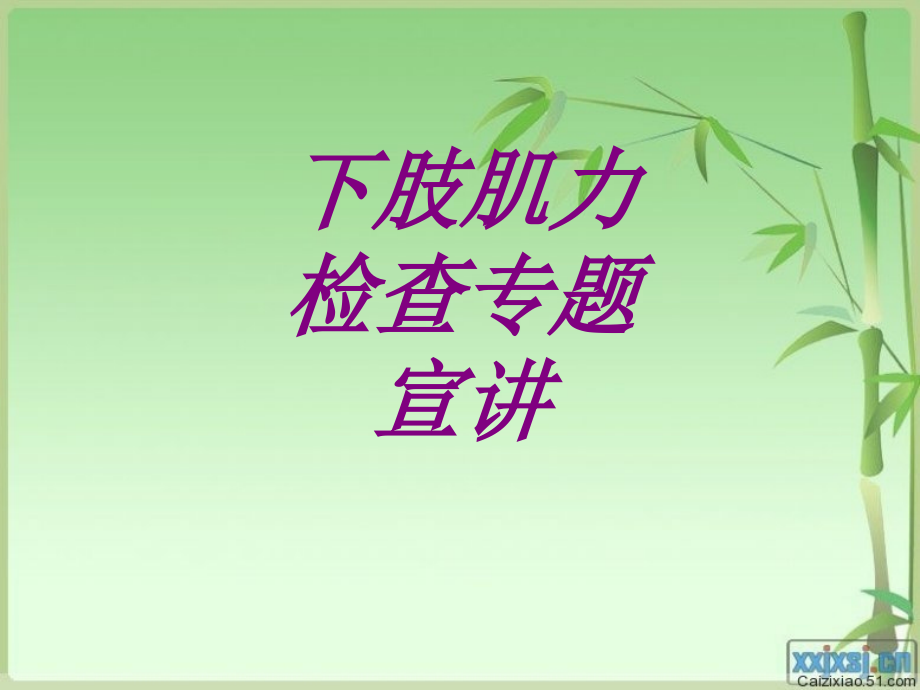 下肢肌力检查专题宣讲.ppt_第1页