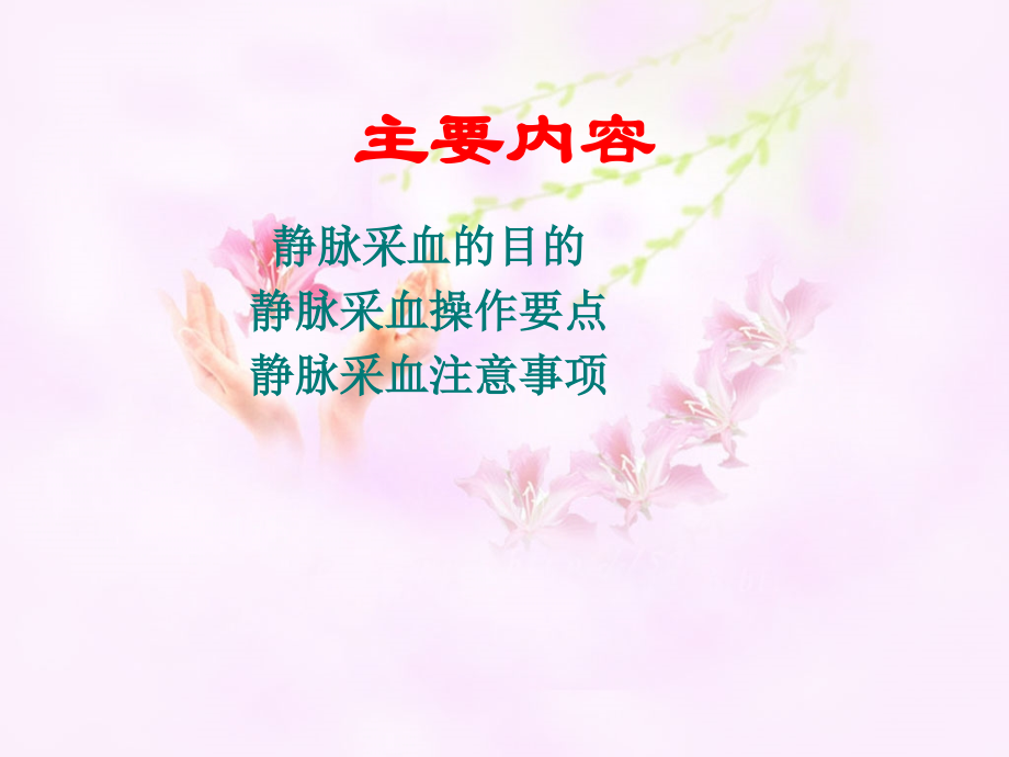 医学静脉采血.ppt_第2页