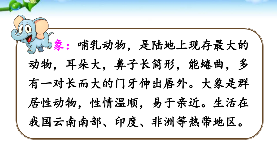 部编版二年级语文下册大象的耳朵.ppt_第2页
