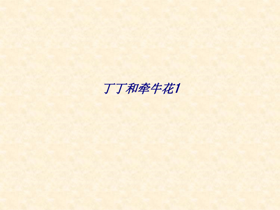丁丁和牵牛花.ppt_第1页