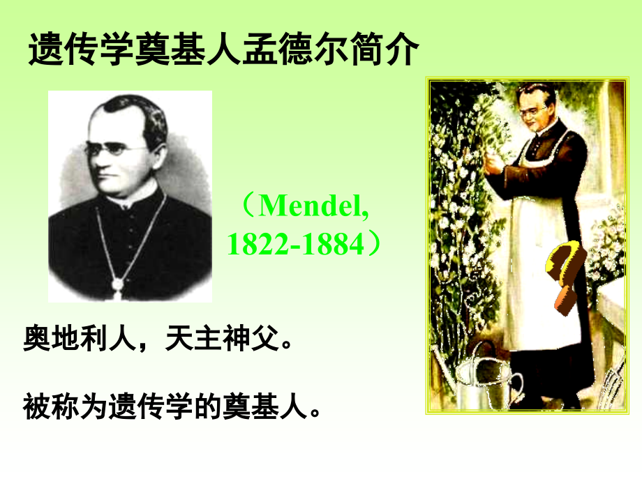 《基因的显性和隐性》ppt课件.ppt_第2页
