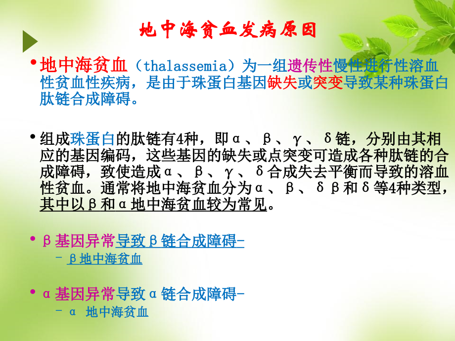 医学课件地中海贫血主题讲座.ppt_第2页