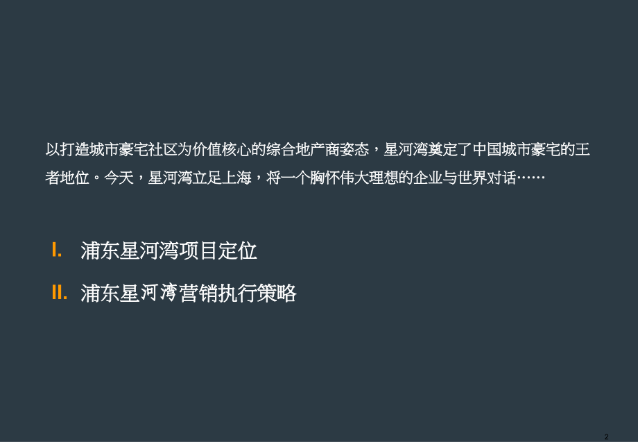 星河湾：营销策略及执行方案.ppt_第2页