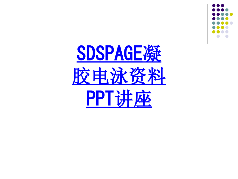SDSPAGE凝胶电泳资料教育课件.ppt_第1页