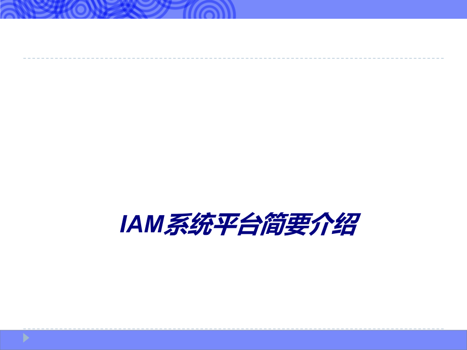 IAM系统平台简要介绍.ppt_第1页