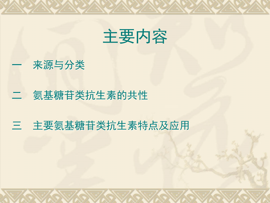 医学氨基糖苷类抗生素的特点及应用专题.ppt_第2页