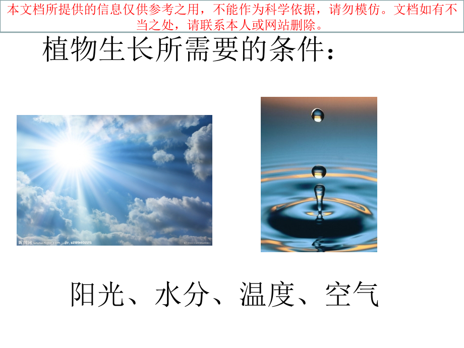 动物的食物专题知识宣讲培训课件.ppt_第1页