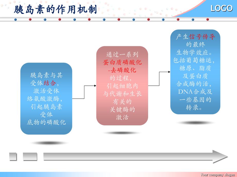 医学胰岛素作用机制医学.ppt_第2页