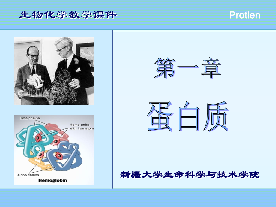 蛋白质的性质5.ppt_第1页