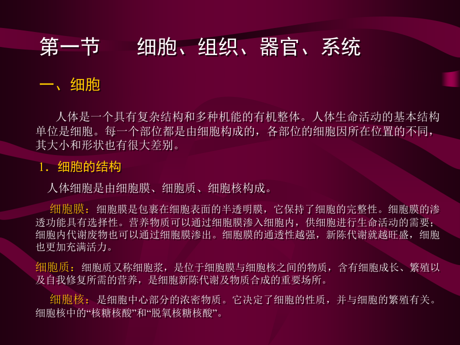 皮肤生理学美容师手册基础知识篇.ppt_第2页