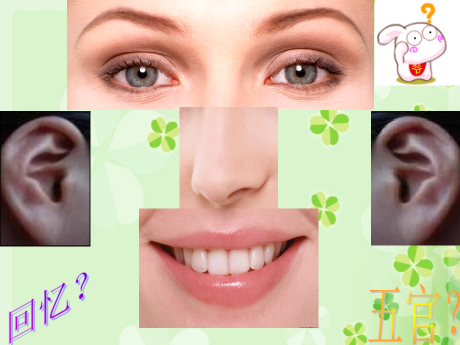 医学幼儿园小班健康我的五官专题.ppt_第2页