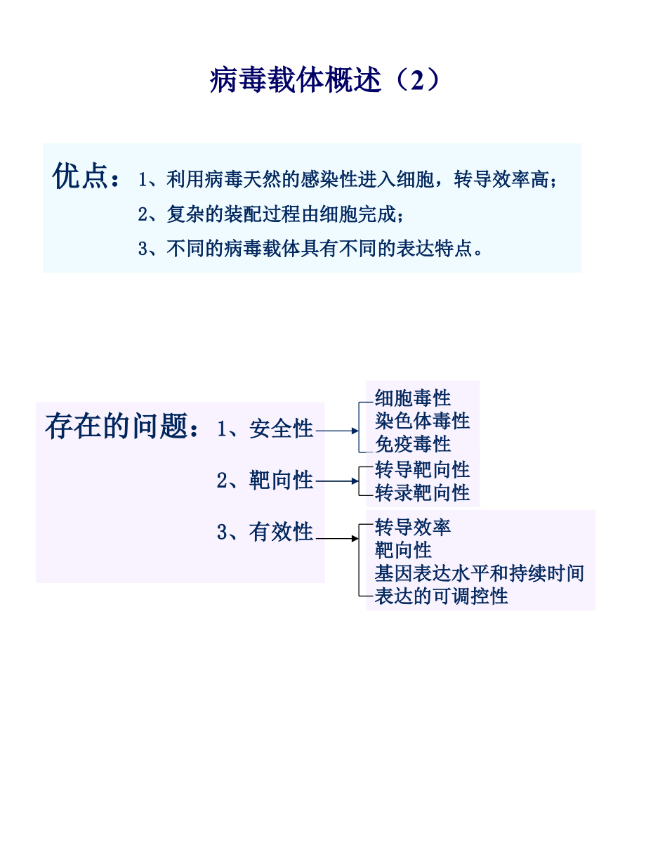 医学课件病毒载体概述.ppt_第2页
