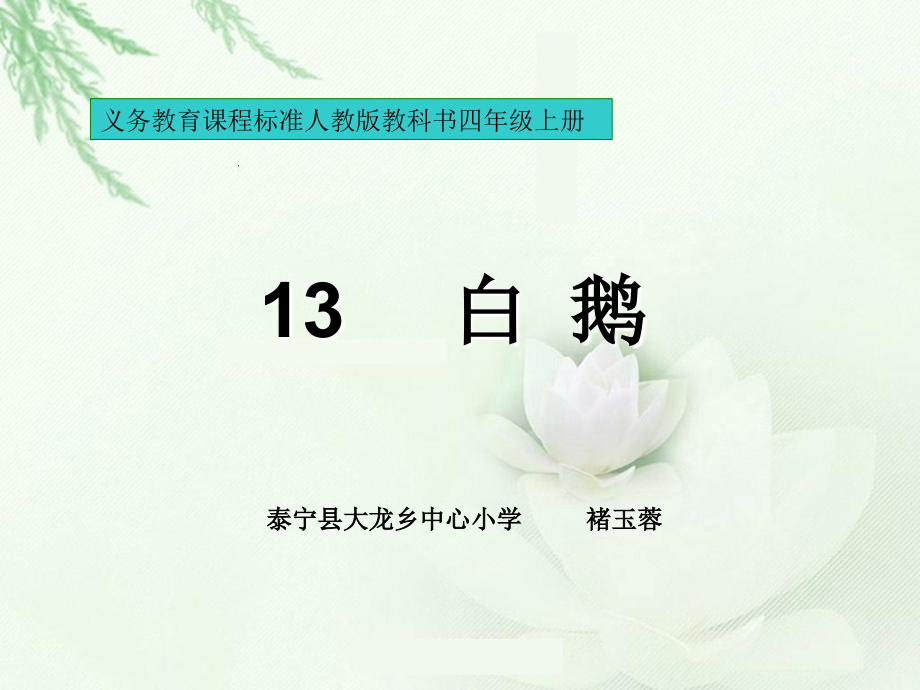 《白鹅》讲解.ppt_第1页