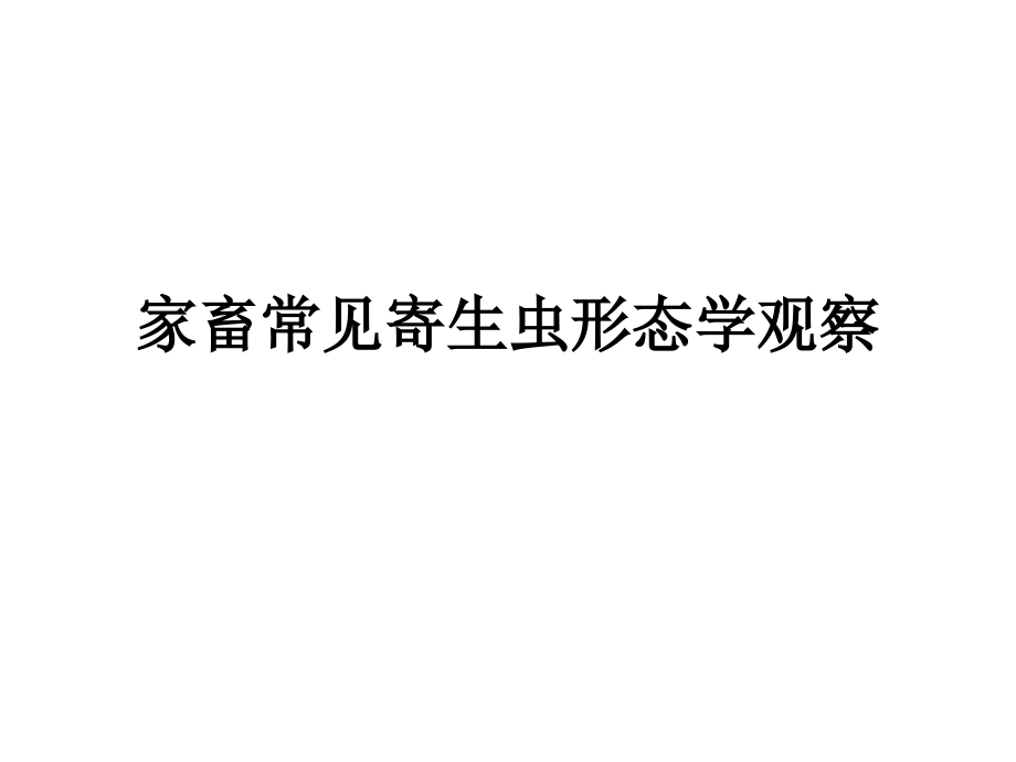 家畜常见寄生虫形态学观察.ppt_第1页