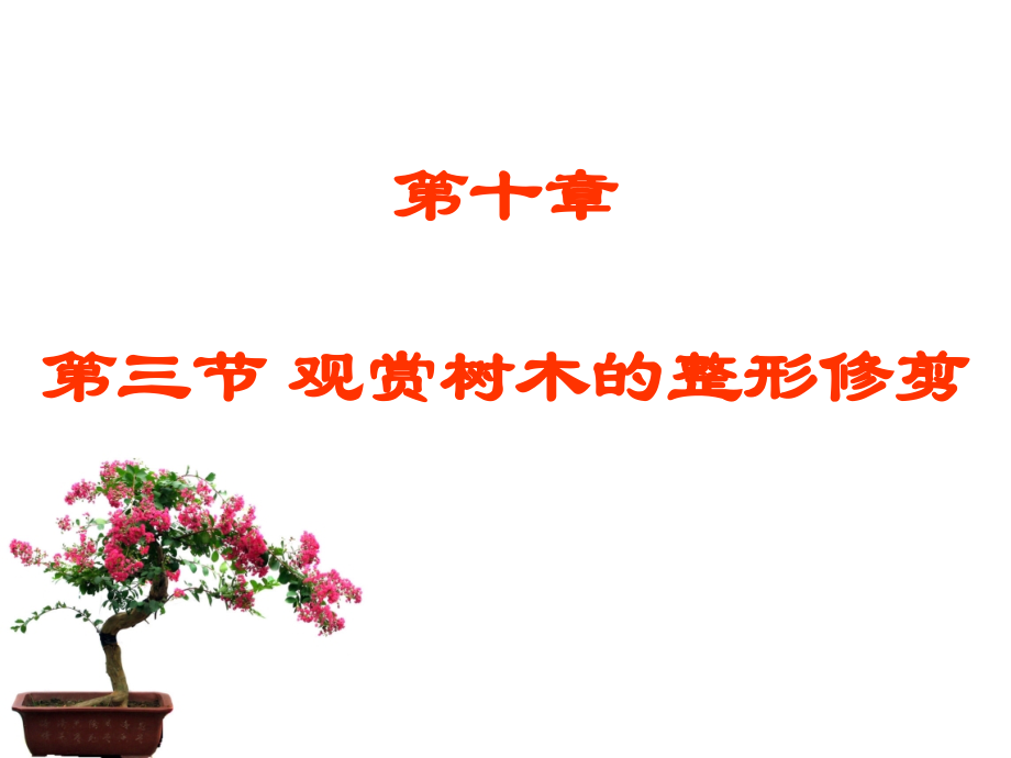 第10章第3节-观赏树木的整形修剪.ppt_第1页