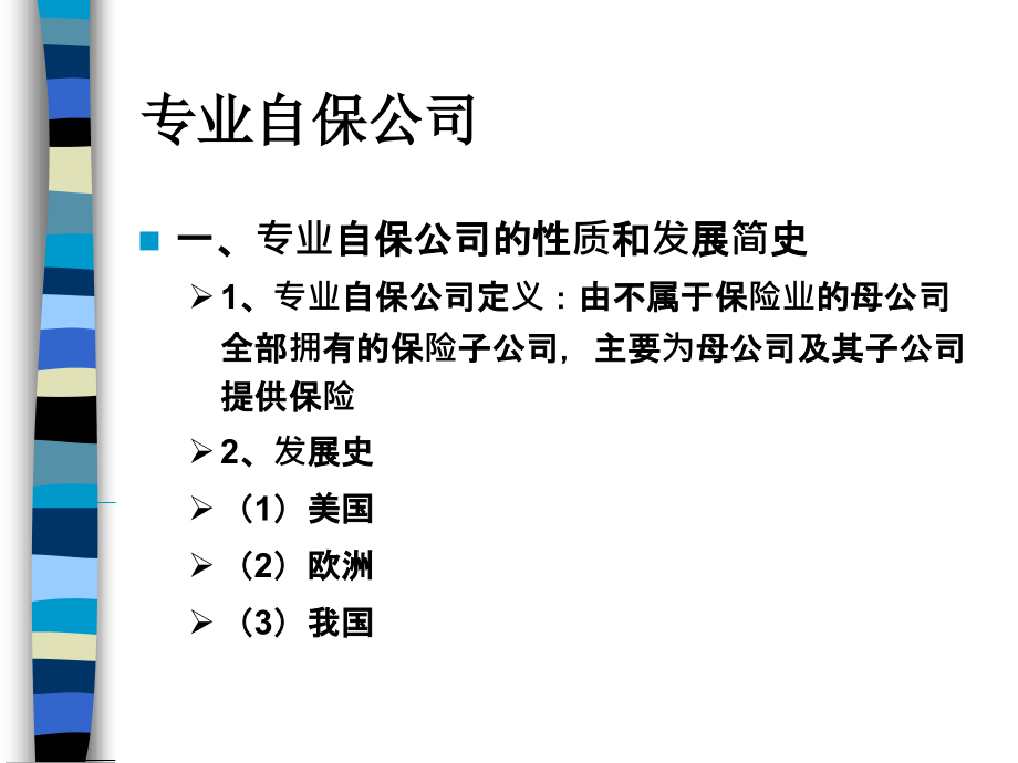 自保公司.ppt_第1页