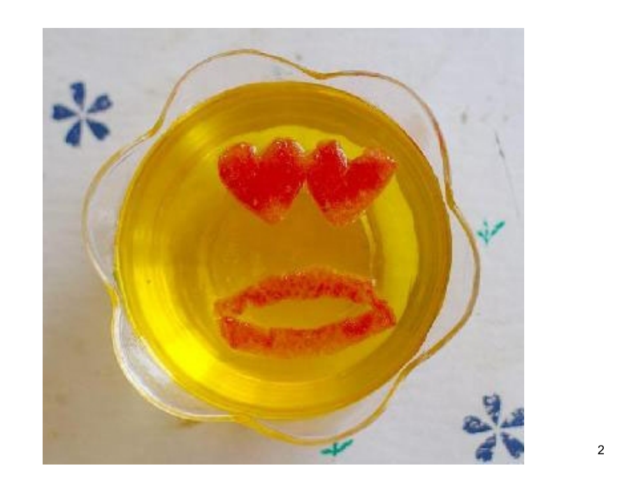 凝胶的基本特征.ppt_第2页