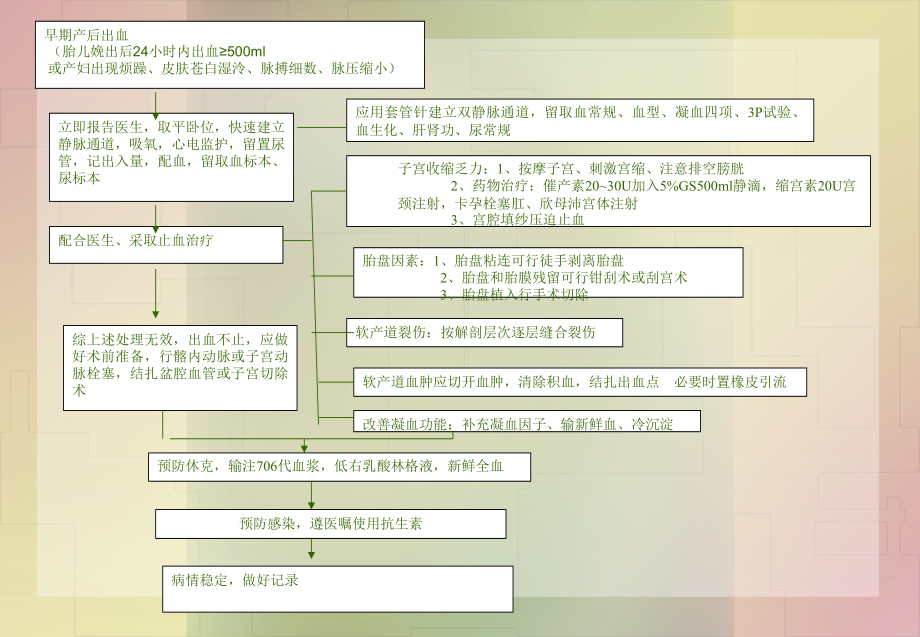 引产后出血抢救流程.ppt_第2页
