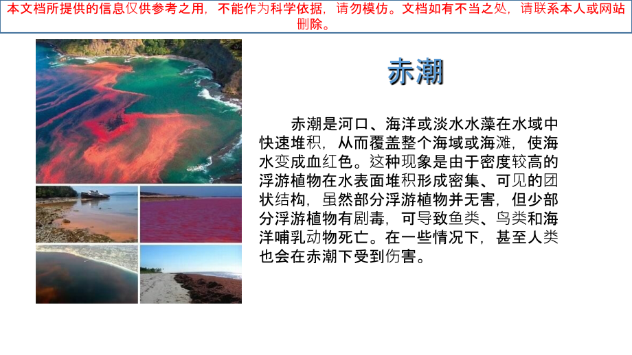 大自然的奇妙现象优质课件专业知识讲座.ppt_第2页