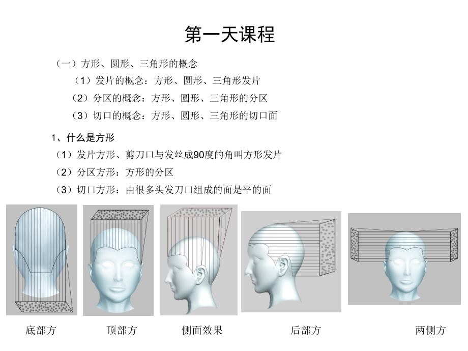 沙宣经典裁剪课件.ppt_第1页