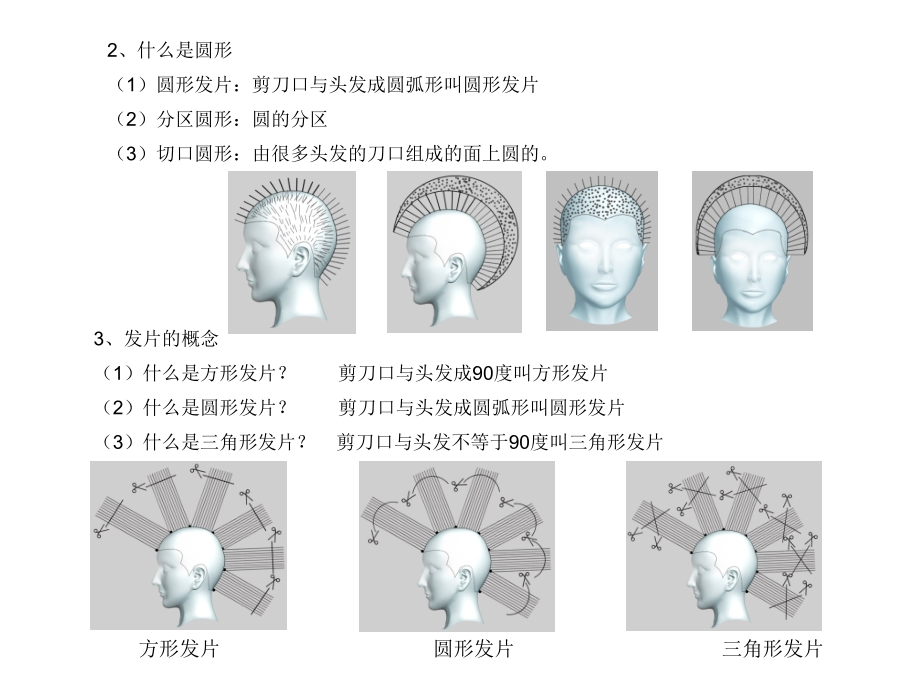 沙宣经典裁剪课件.ppt_第2页